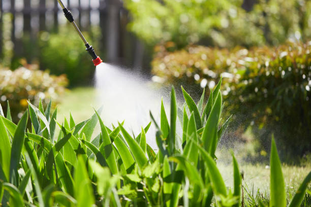 Tamper-Resistant Bait Stations for Rodents in Nipomo
