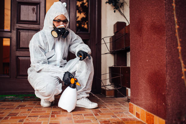 Attic and Crawl Space Rodent Treatment in Nipomo